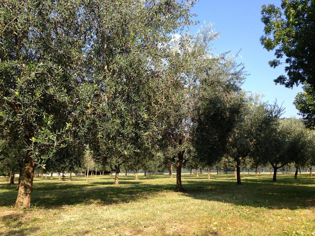 Agriturismo Corte Moranda Verona Eksteriør billede